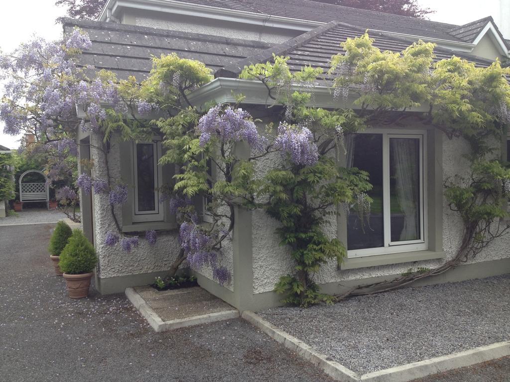 Sea Dew B&B Tullamore Eksteriør billede