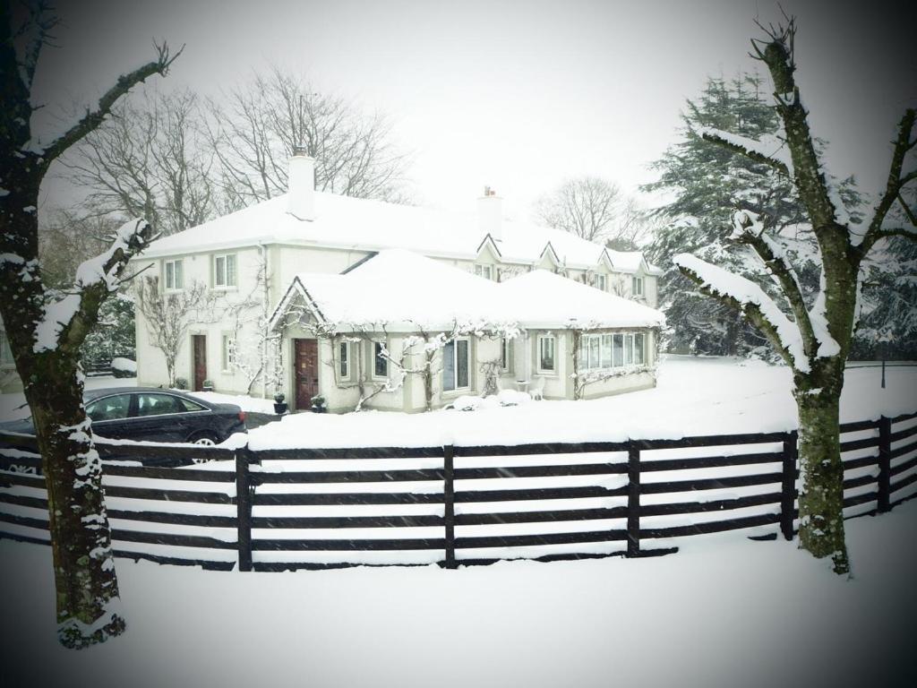Sea Dew B&B Tullamore Eksteriør billede